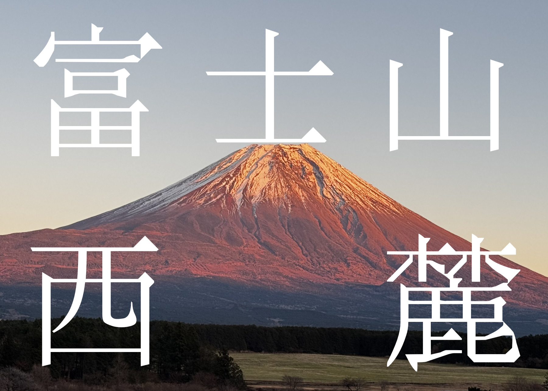 タクシーで行く！東京十社めぐり